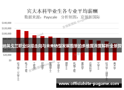 纳英戈兰职业抉择走向与未来转型发展前景的多维度深度解析全景探