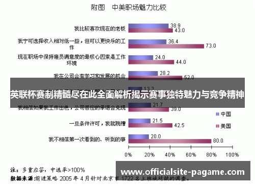 英联杯赛制精髓尽在此全面解析揭示赛事独特魅力与竞争精神 英联杯赛制精髓尽在此全面解析揭示赛事独特魅力与竞争精神