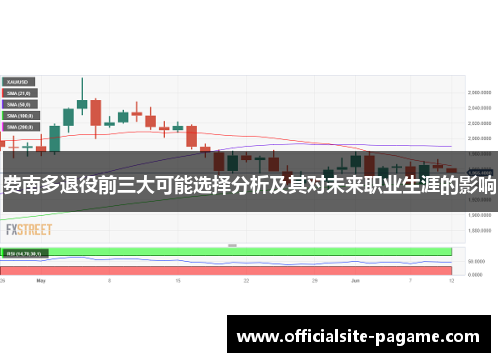 费南多退役前三大可能选择分析及其对未来职业生涯的影响